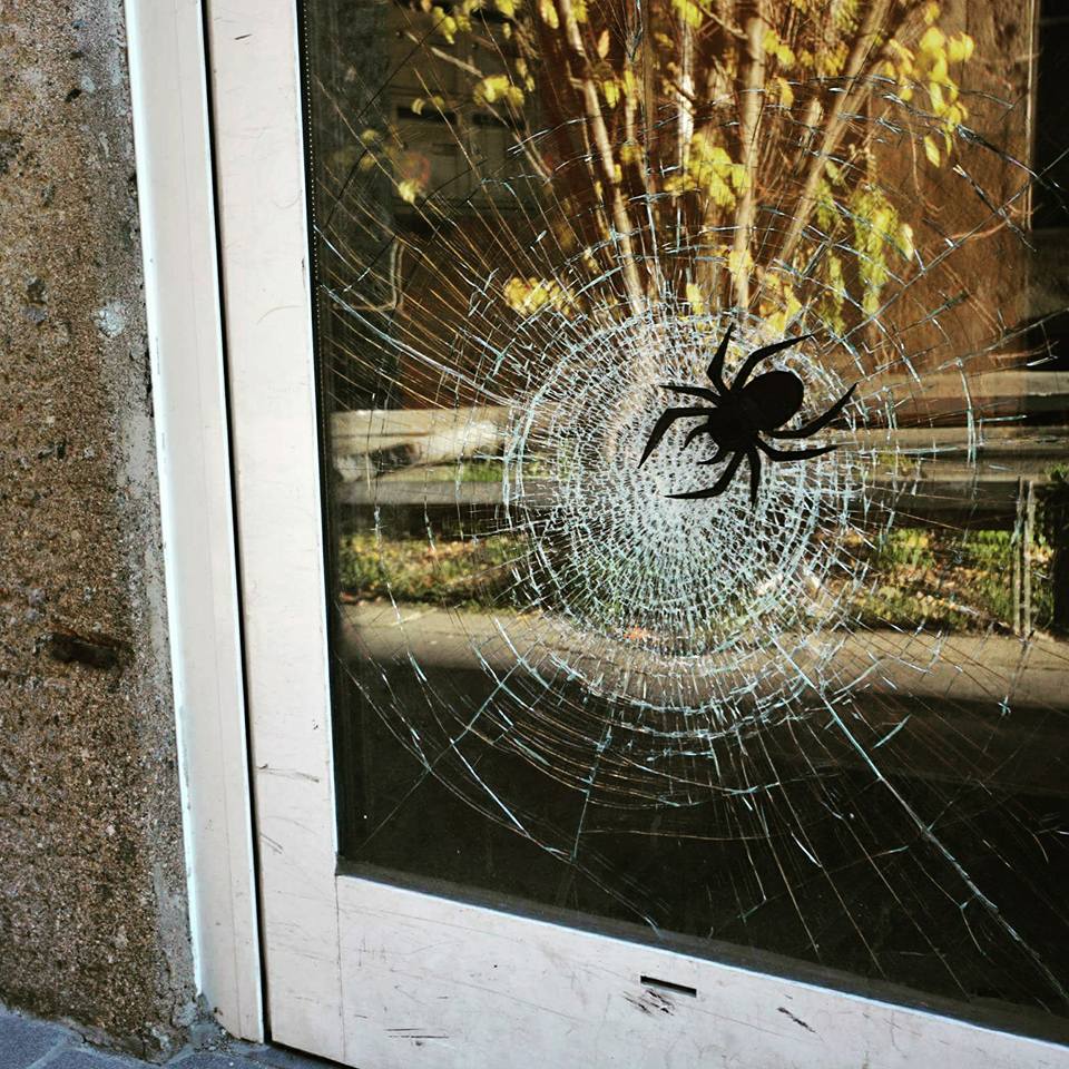 araignée, cassée, fenetre, Oakoak, spider, streetart